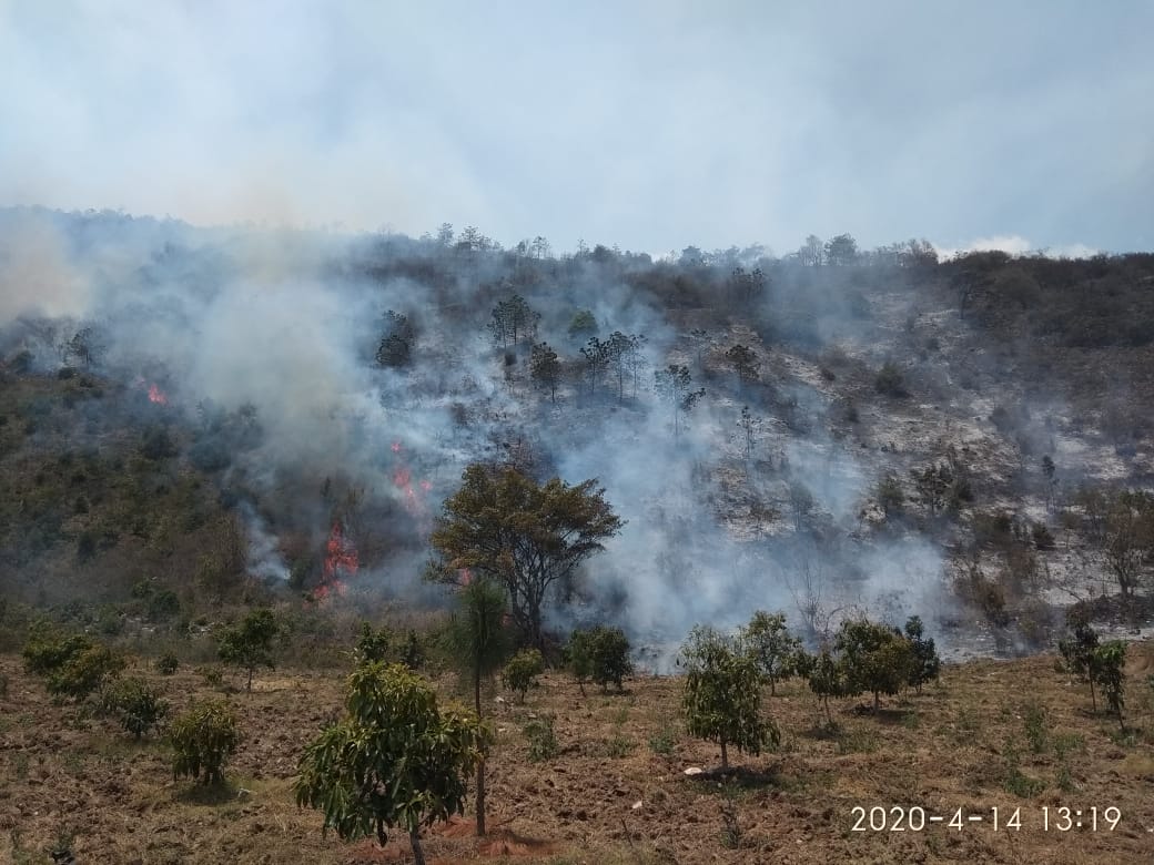 WhatsApp Image 2020-04-15 at 16.36.50