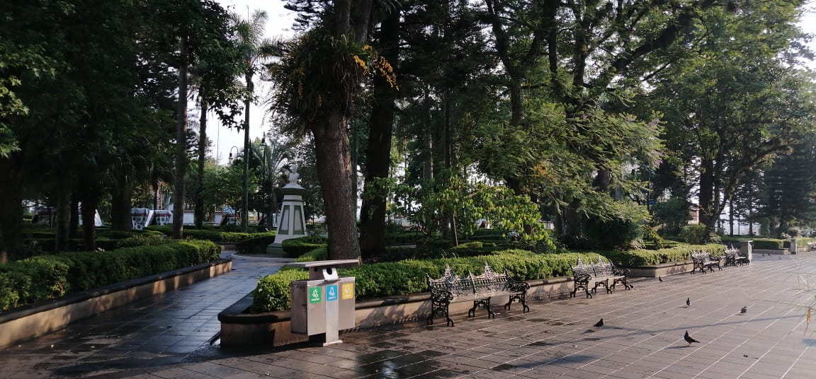 WhatsApp Image 2020-05-18 at 14.52.50 (1)