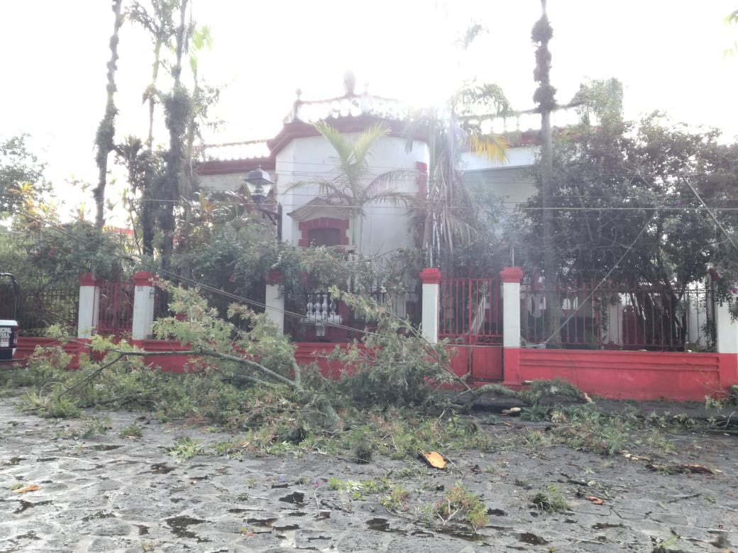 Tormenta de ayer dejó árboles caídos y viviendas afectadas en 8 municipios WhatsApp Image 2020-07-07 at 09.22.13