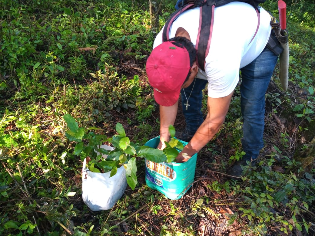 WhatsApp Image 2020-07-08 at 19.16.11