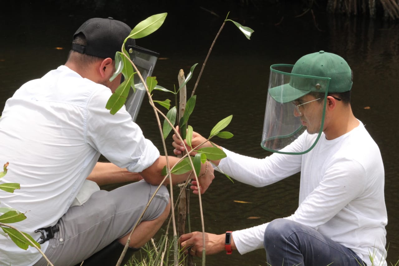 WhatsApp Image 2020-07-28 at 18.48.55