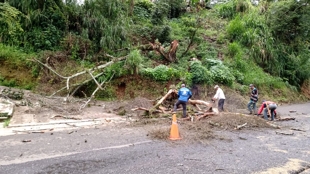 Deja lluvia tres muertos en Filomeno Mata y 11 municipios afectados WhatsApp Image 2020-08-09 at 09.49.46