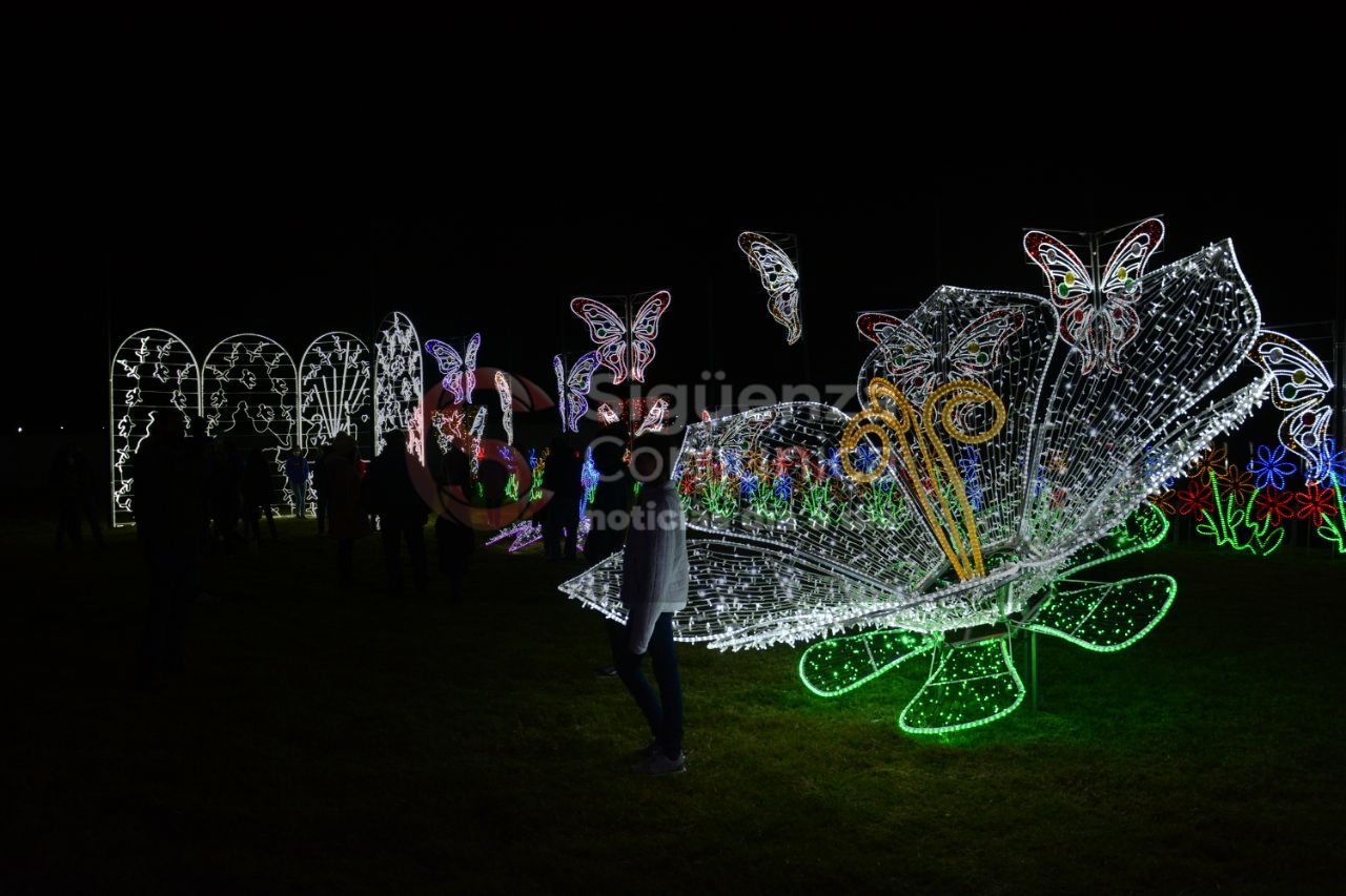 WhatsApp Image 2020-12-06 at 8.55.02 PM