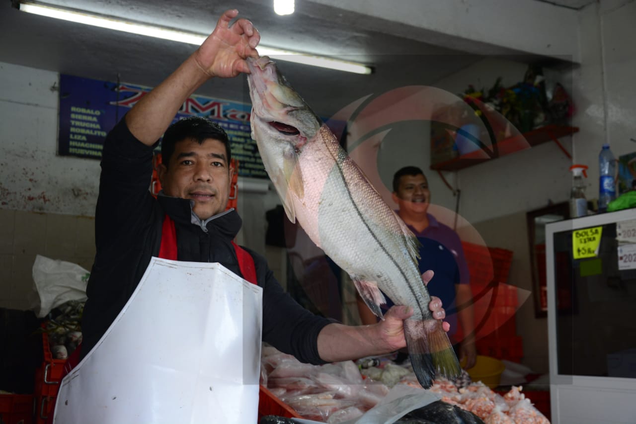 WhatsApp Image 2021-02-22 at 10.49.59 AM