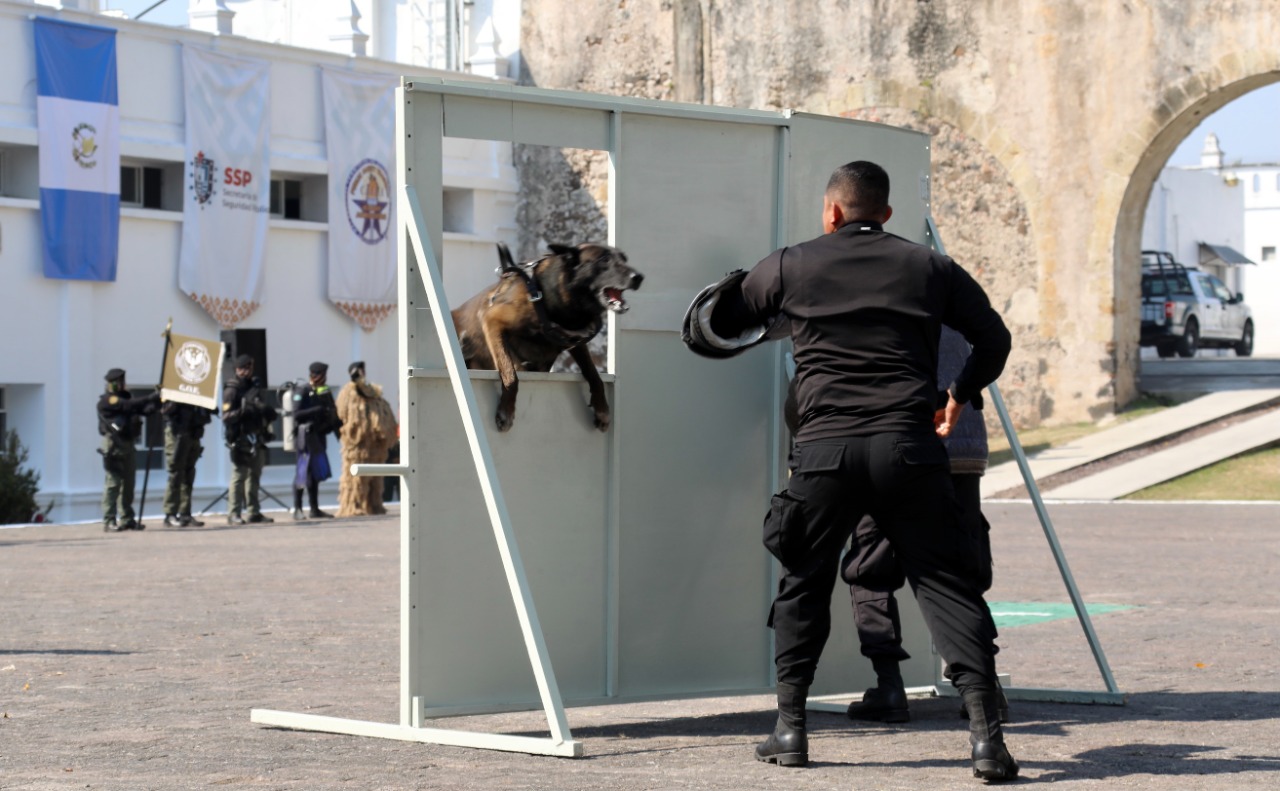 Con 22 egresados, concluye SSP Diplomado Internacional Táctico K9-Perros Multipropósito IMG-20210416-WA0004