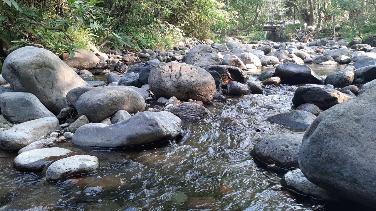 Habitantes alertan por grave sequía en la zona del río Pixquiac IMG-20210416-WA0316