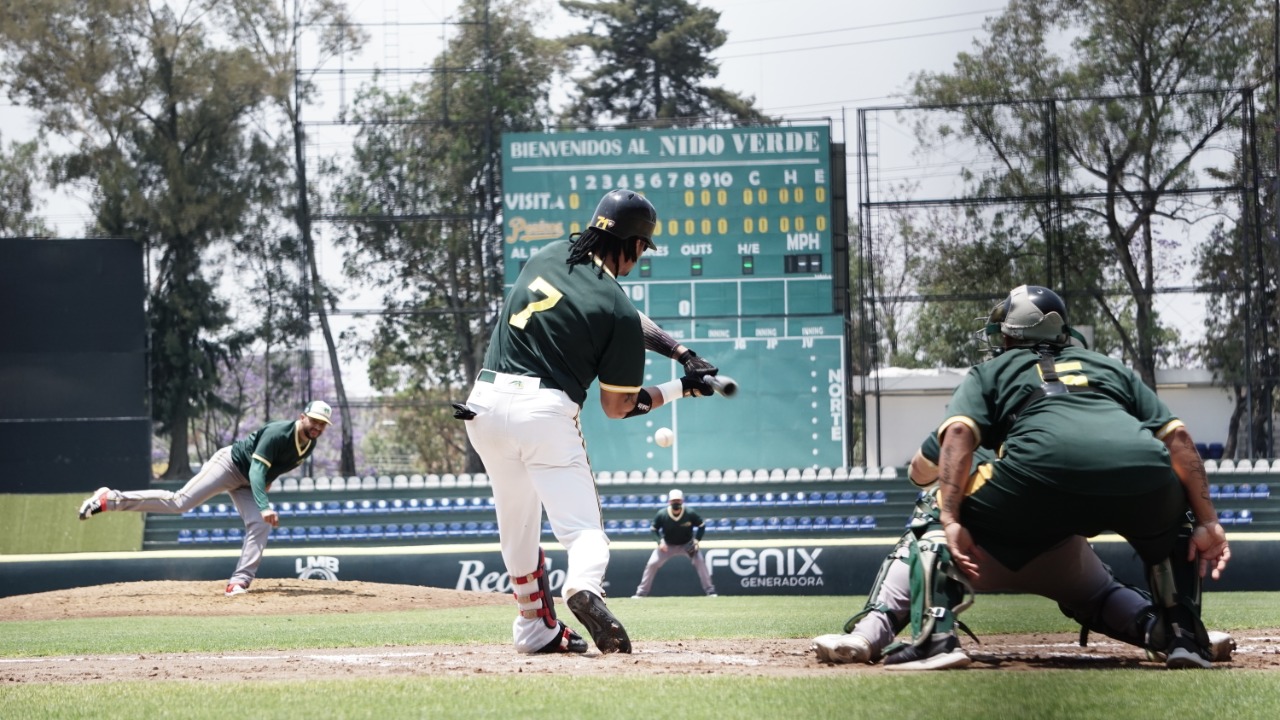 La antesala emplumada PP06