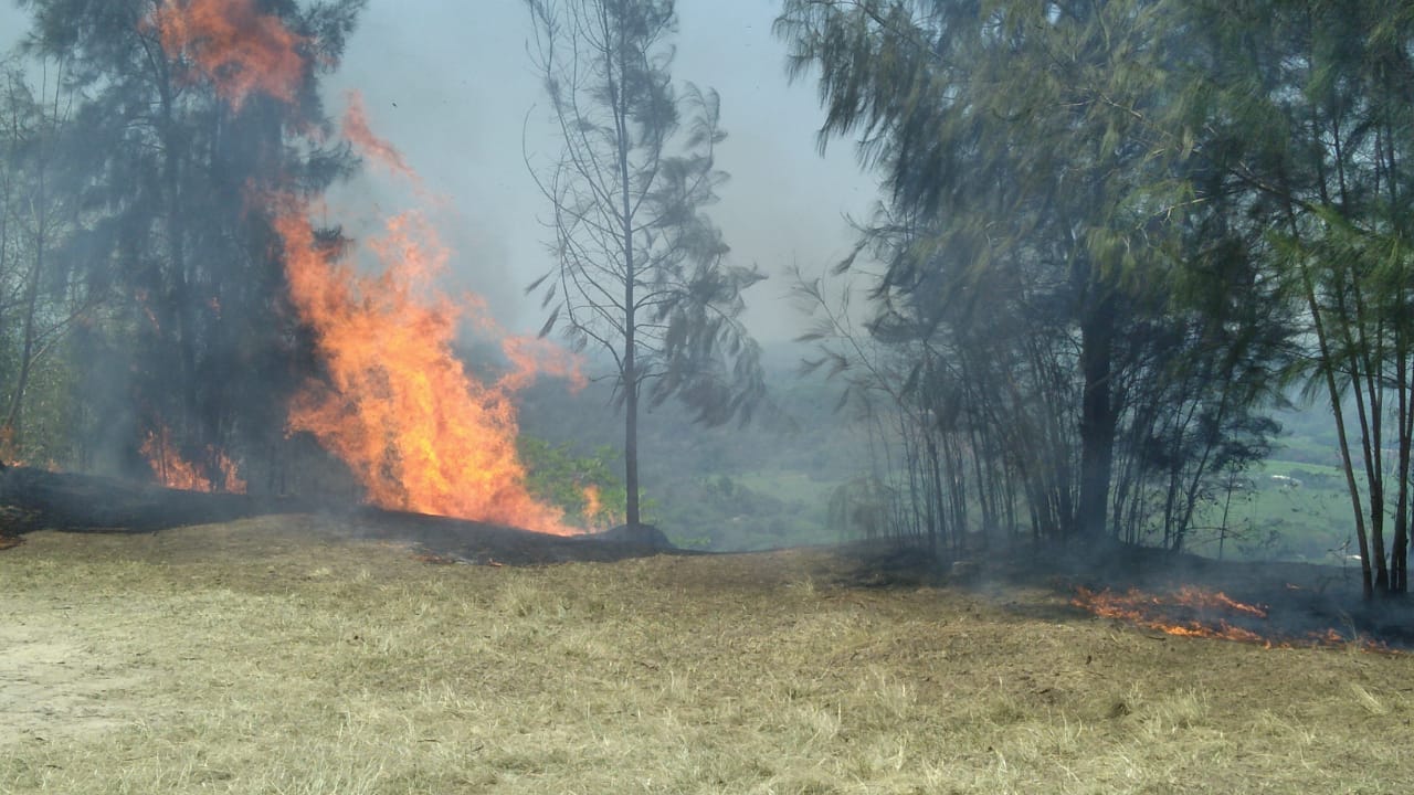 WhatsApp Image 2021-04-12 at 4.06.22 PM