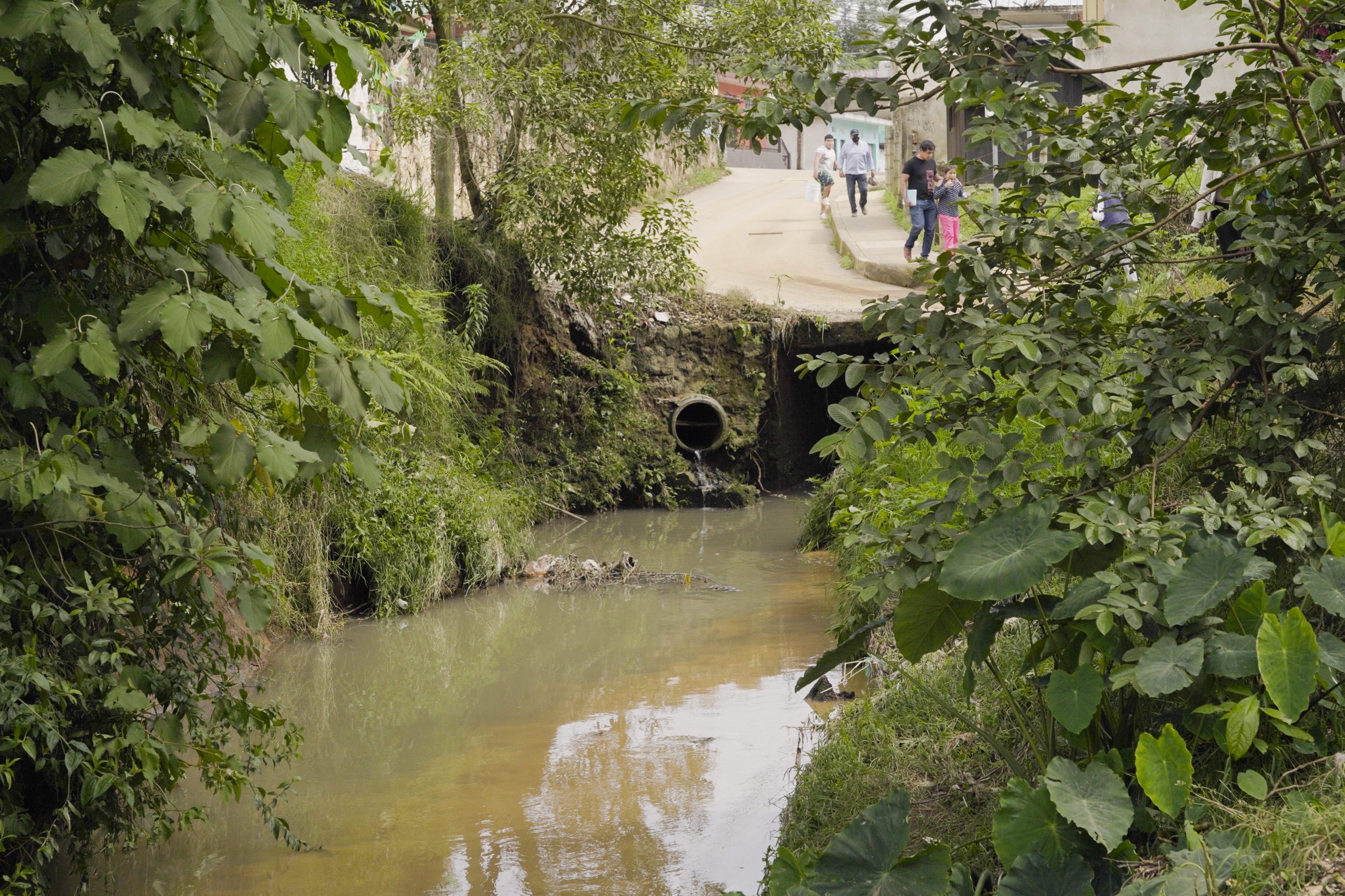 Arroyo Papas contaminado Xalapa 2