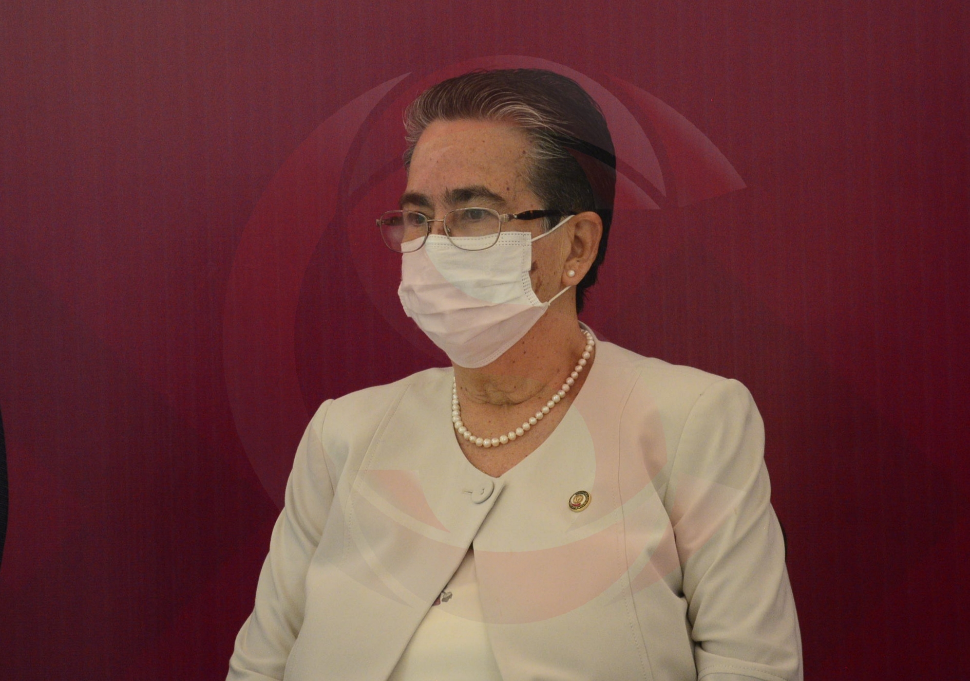 Consulta Popular hubiera sido gratis si se hubiera realizado con las elecciones: Senadora Gloria Sánchez. Photo_1625760688587