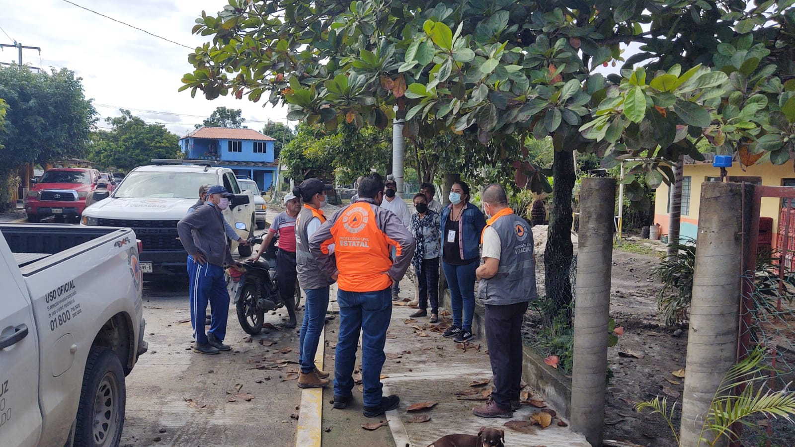 WhatsApp Image 2021-11-23 at 5.51.03 PM