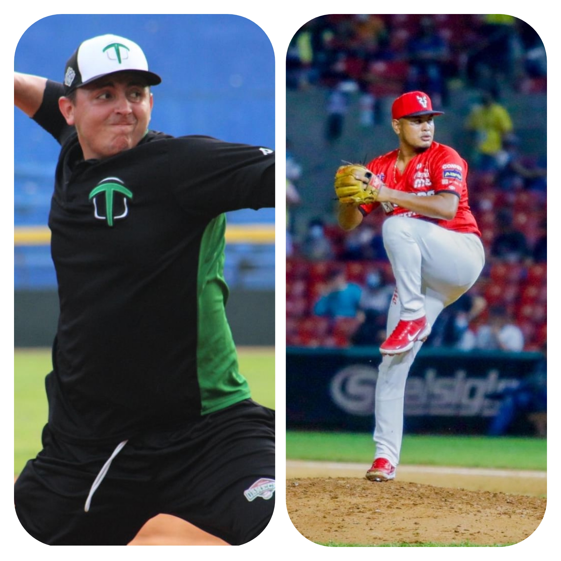 GridArt_20220122_111109827