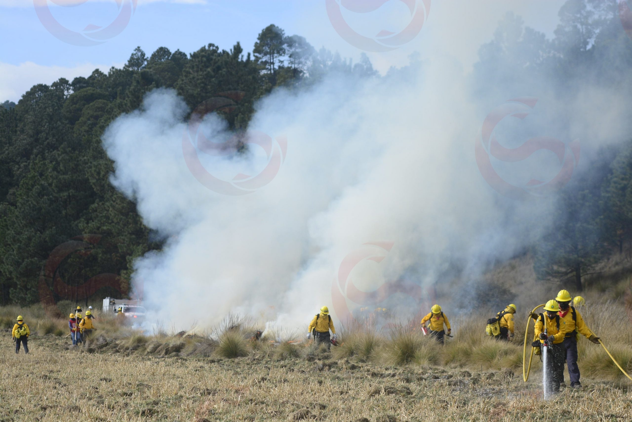 Photo_1642794819367-1