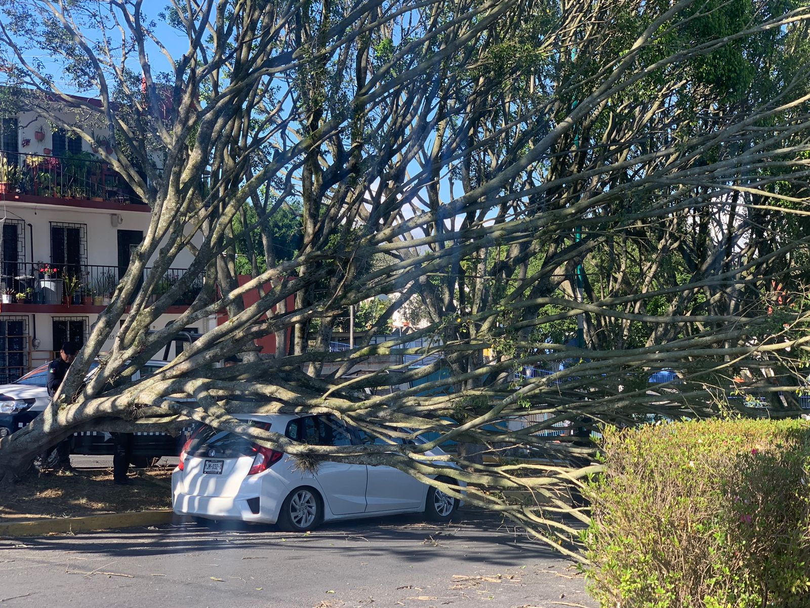 Reporte preliminar de afectaciones por vientos de Norte - FF19 WhatsApp Image 2022-01-02 at 4.08.06 PM