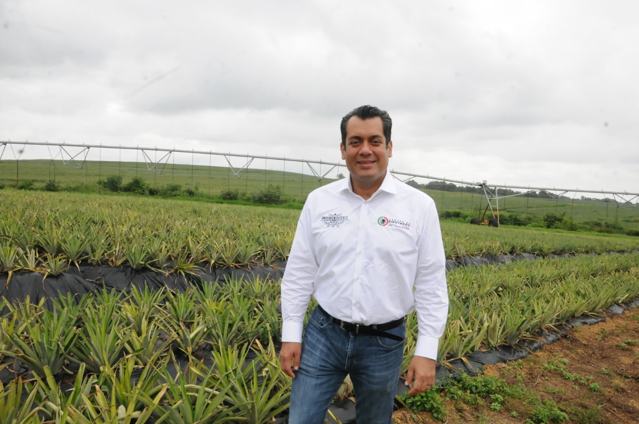 WhatsApp Image 2022-01-05 at 7.10.18 PM