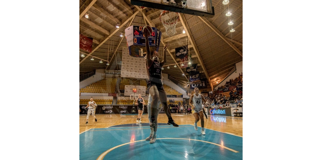 GridArt_20220528_091446004