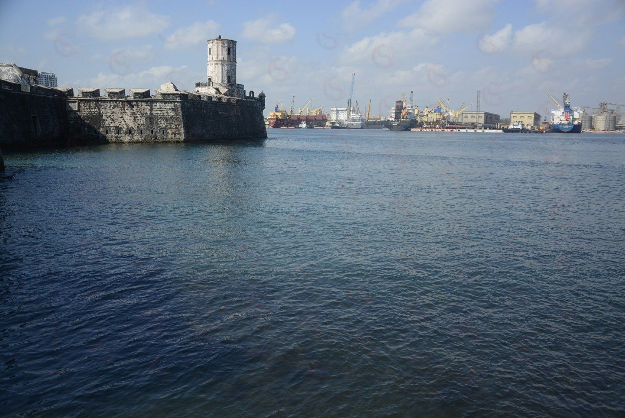 photo_5607500836733298618_y