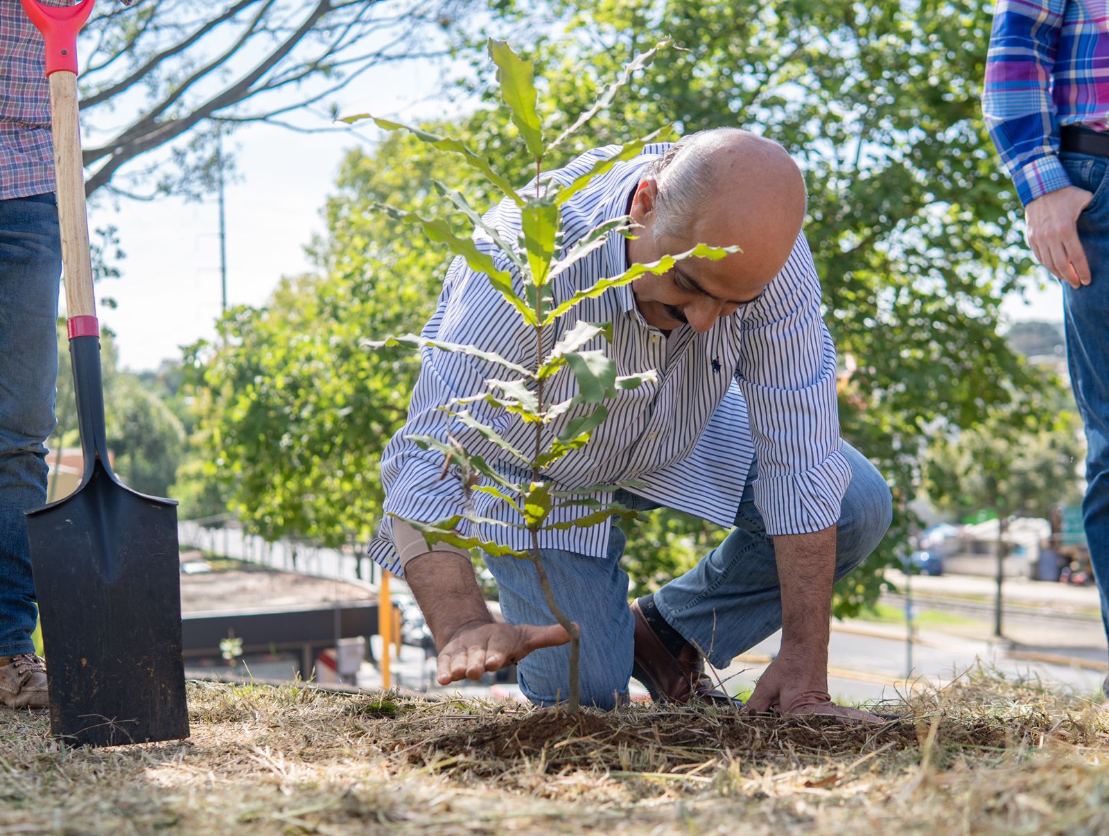 Realiza Ayuntamiento jornada de reforestación en el parque La Loma. IMG-20220730-WA0009