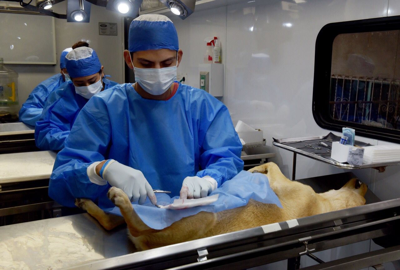 WhatsApp Image 2022-07-13 at 12.42.40 PM (1)