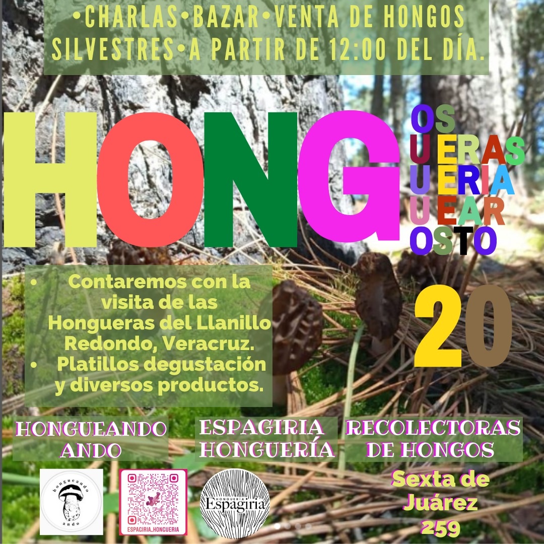Festival del Hongo WhatsApp Image 2022-08-18 at 9.30.54 AM