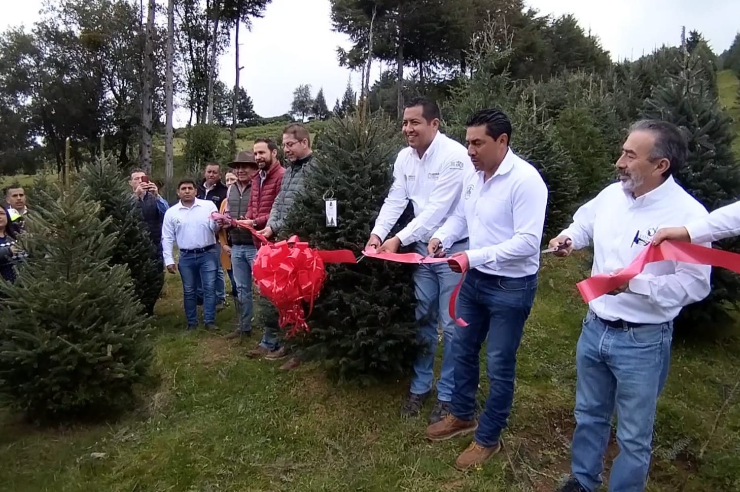 WhatsApp Image 2022-11-07 at 3.40.12 PM