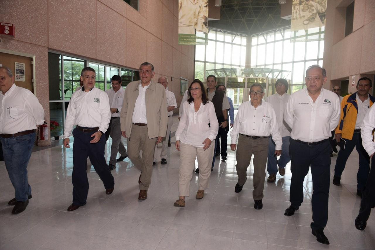 50229568_1342203952588027_3848840513159430144_n