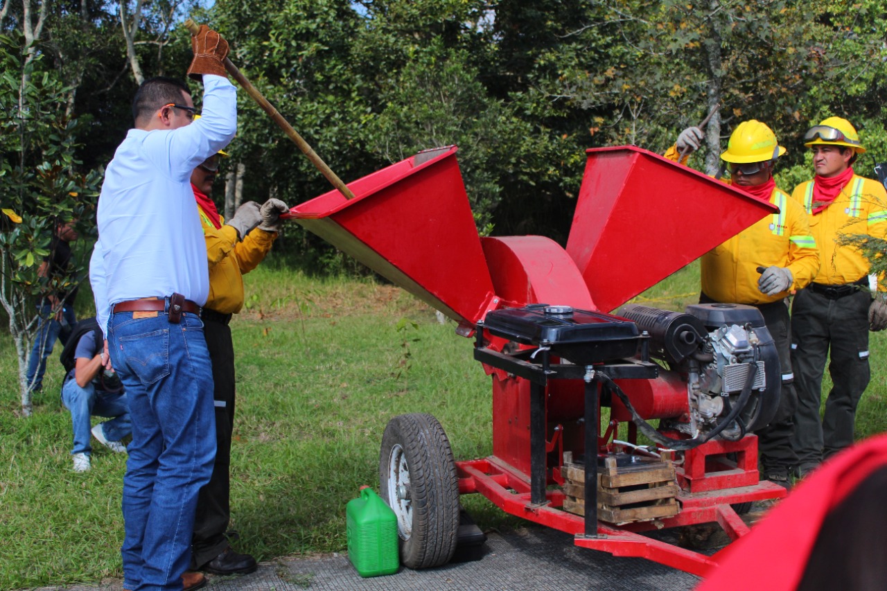 No tires tu arbolito de Navidad, recíclalo. IMG-20230109-WA0019