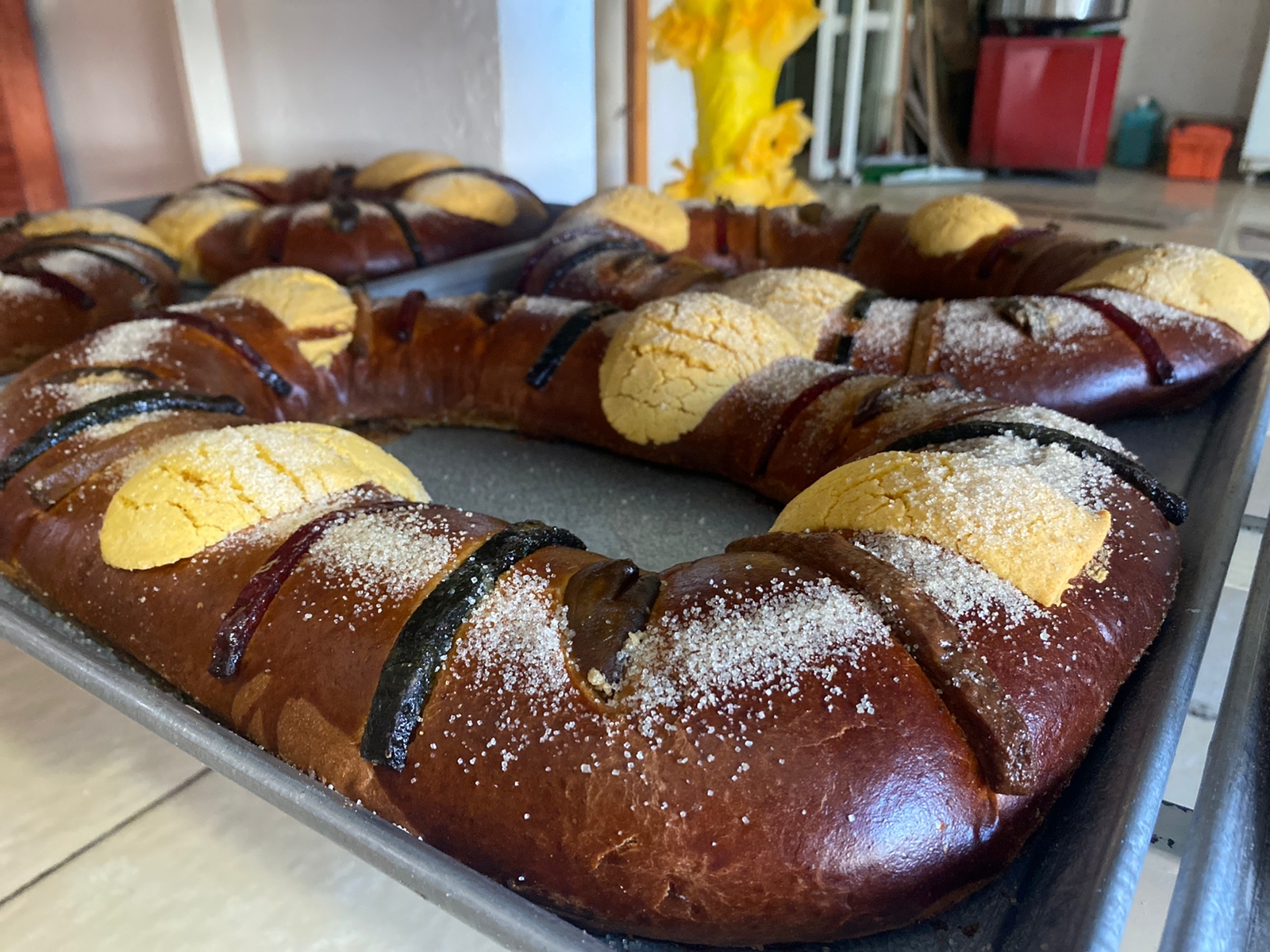 WhatsApp Image 2023-01-04 at 1.40.28 PM