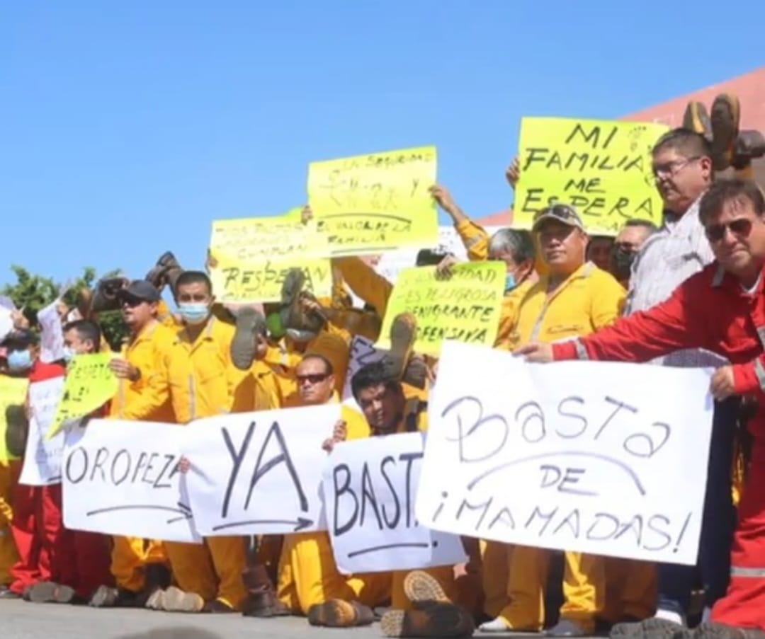 WhatsApp Image 2023-01-31 at 12.21.46 PM