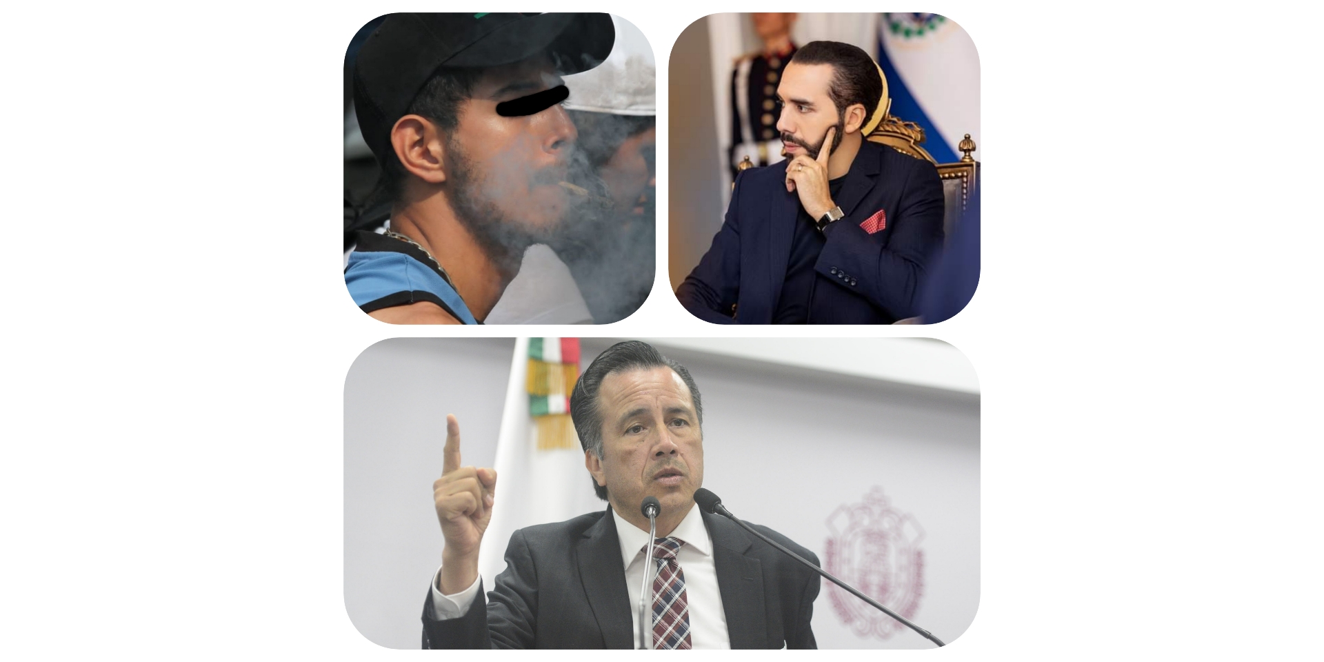 ¿Entonces prevalece el "uso lúdico" de la mota sobre derechos de terceros? GridArt_20230221_120023613