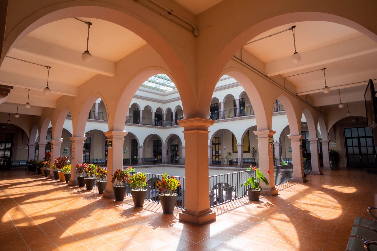 WhatsApp Image 2023-02-04 at 12.20.18 PM