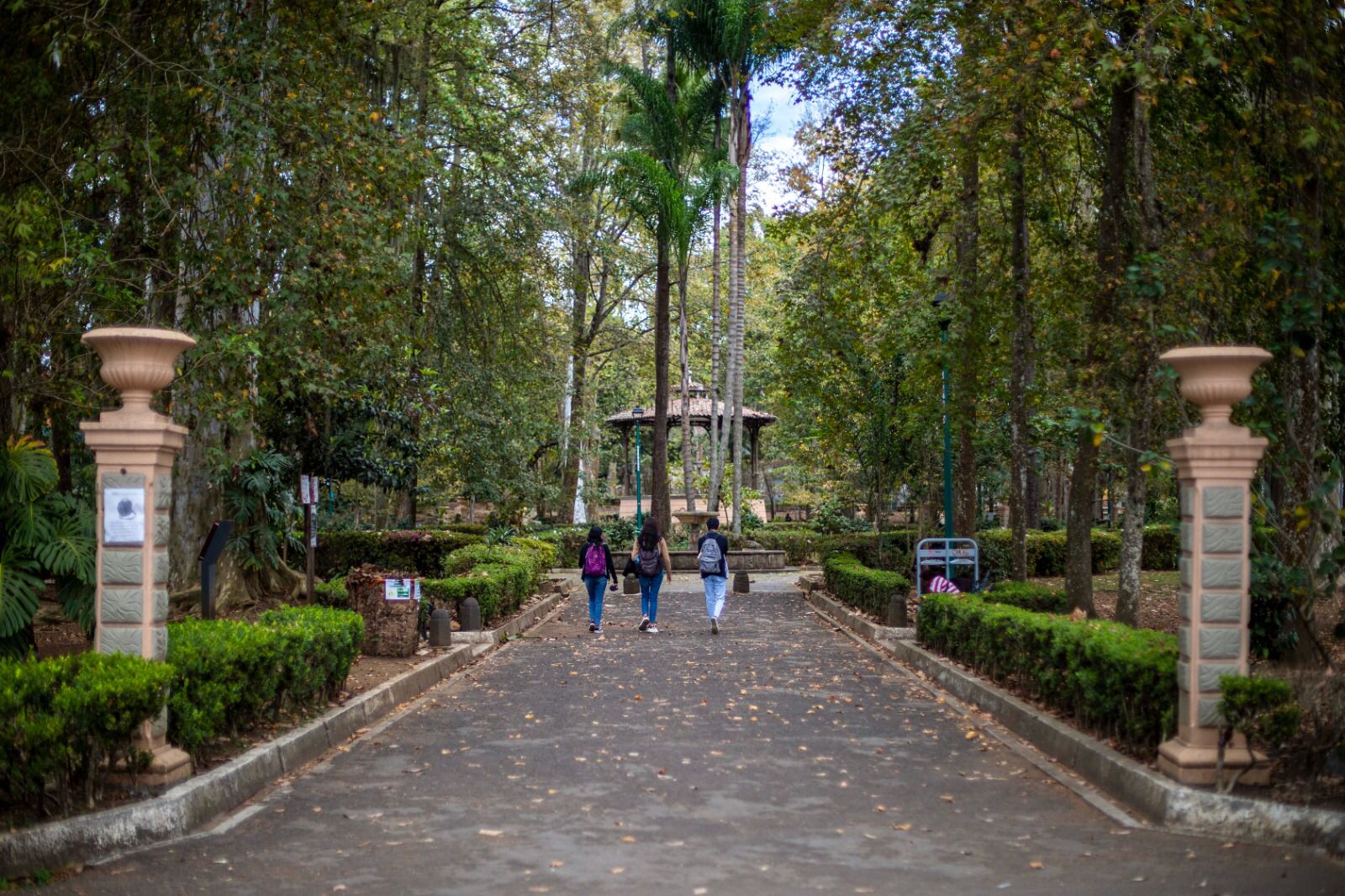 WhatsApp Image 2023-02-22 at 2.35.04 PM