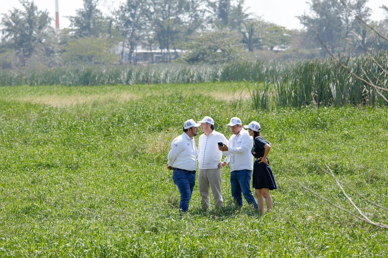 Inicia gobernador y la PMA trabajos de rescate y recuperación de la Laguna Lagartos. WhatsApp Image 2023-03-01 at 10.03.29 AM