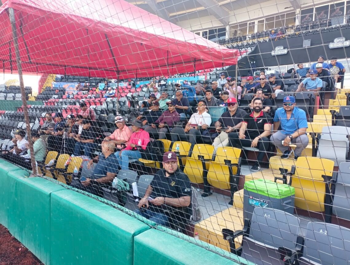 WhatsApp Image 2023-03-01 at 3.53.45 PM