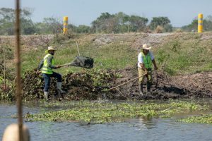 Rescate de lagunas.