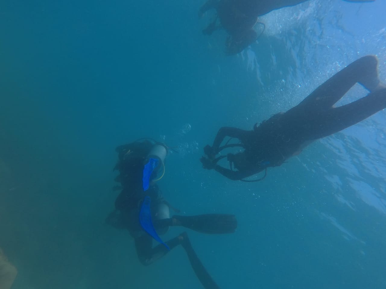 El 80% de escoltas que laboran en México no están preparados para rescate acuático rescate acuático