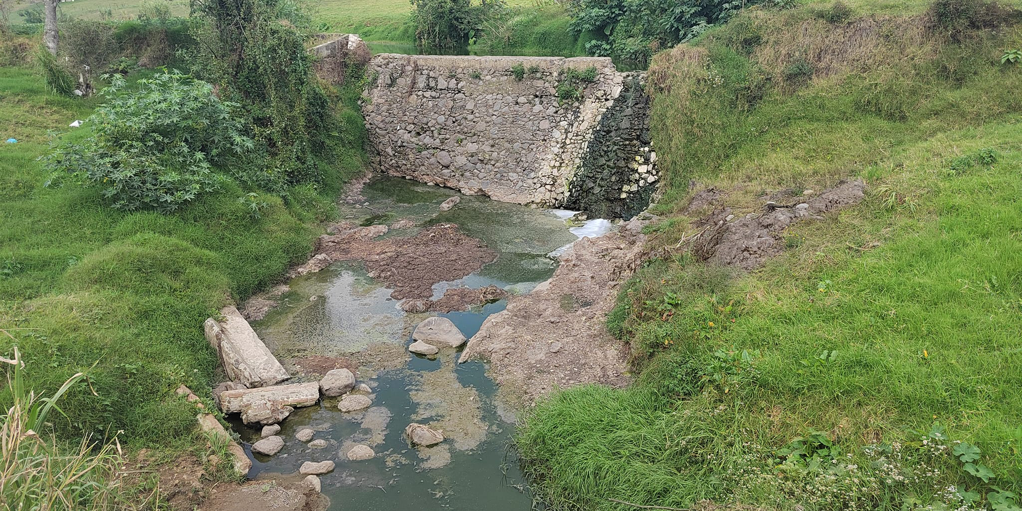 Con humedales artificiales, buscan rescatar río Naolinco río Naolinco