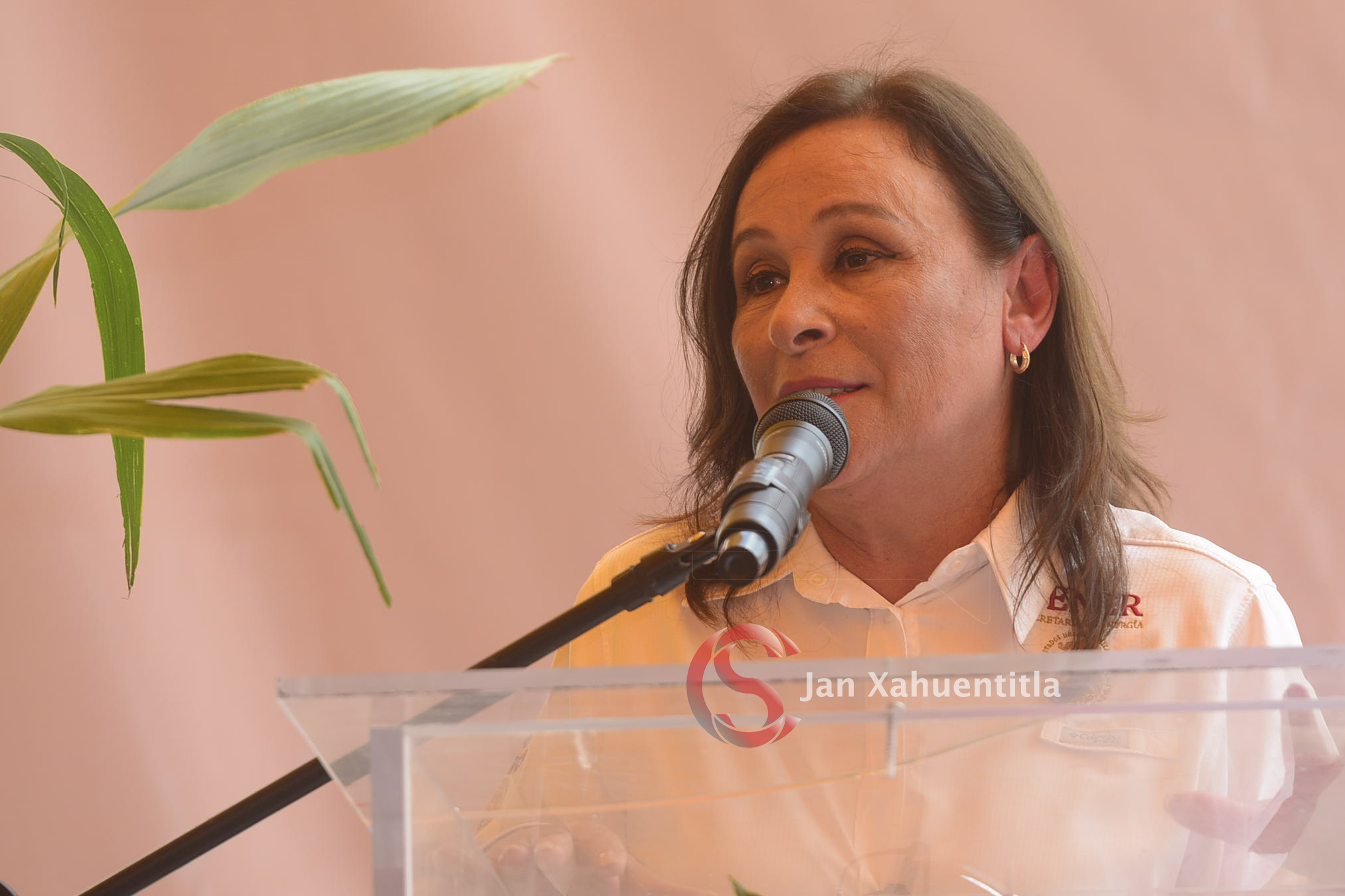 SCJN declara invalidez parcial de “ley Nahle”, lo publica hoy en el DOF Rocío Nahle