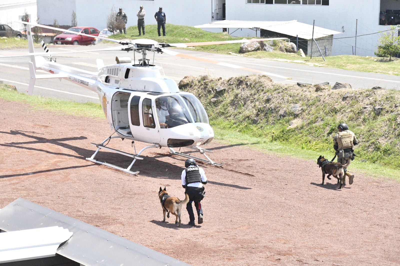 Grupo táctico-perros