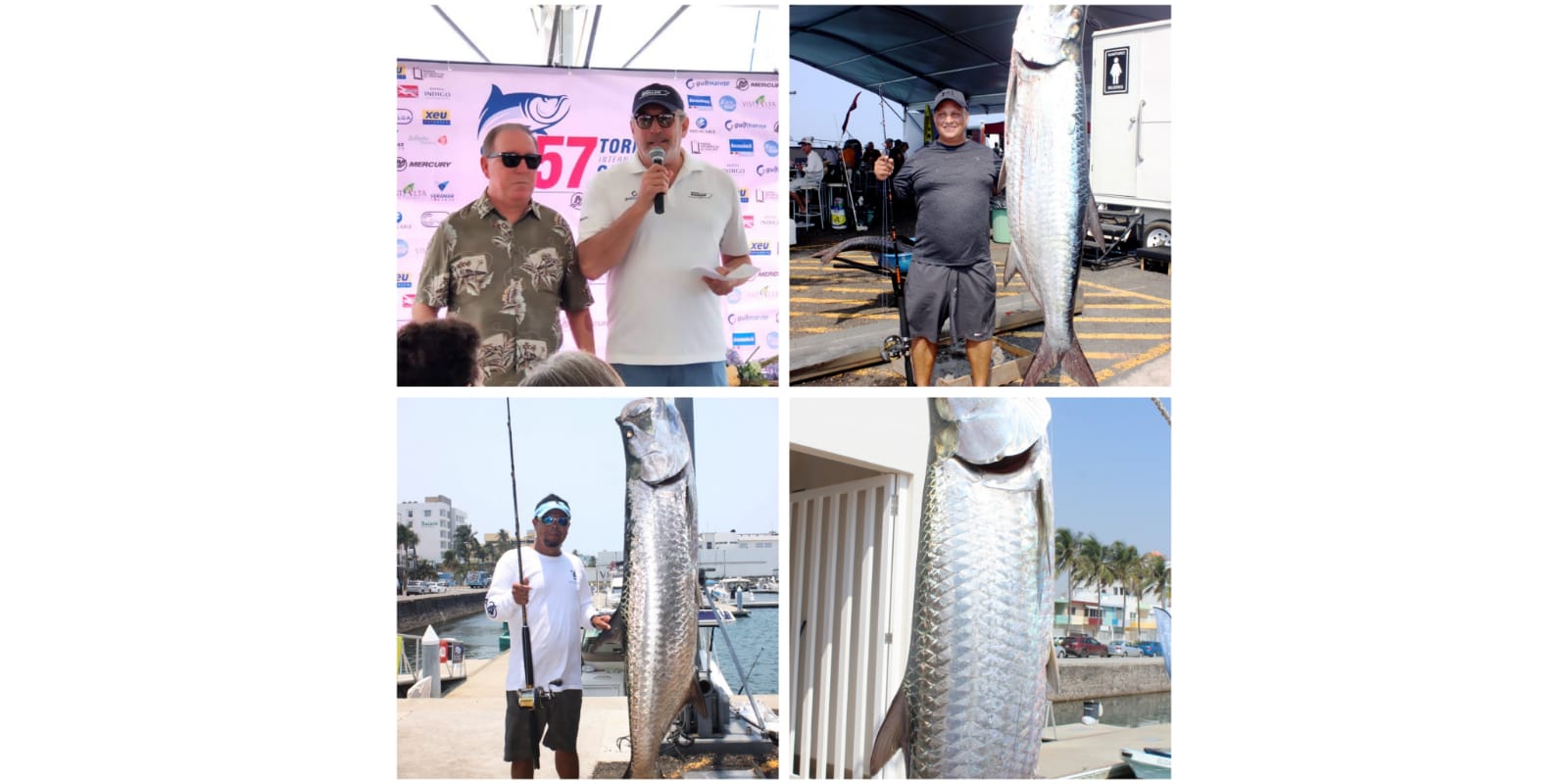 WhatsApp Image 2023-04-19 at 21.34.02