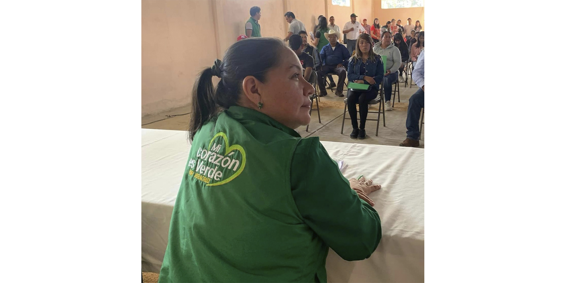 Desecha TEV queja de Eleaney Sesma tras ser separada de dirigencia del PVEM eleaney sesma