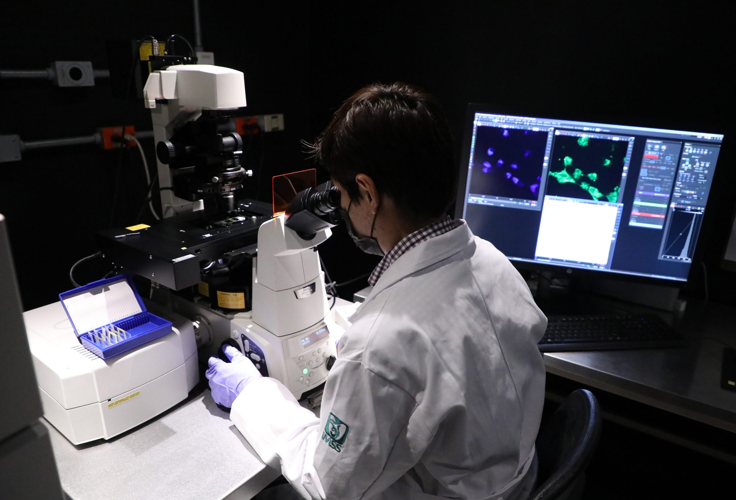 Trabajan especialistas del IMSS para contribuir en terapia celular que repare daño del páncreas por diabetes tipo 2 IMSS