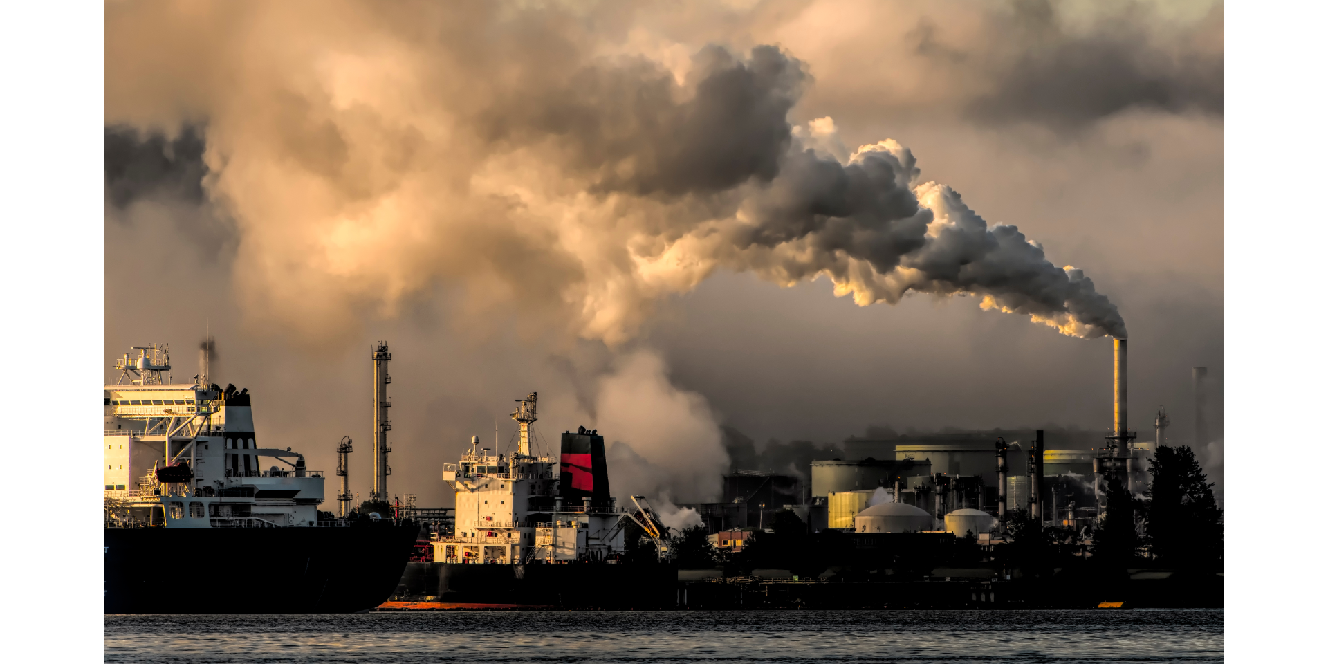 Necesario, incluir a sectores público, privado e industrial en acciones de captura de gases de efecto invernadero dióxido de carbono