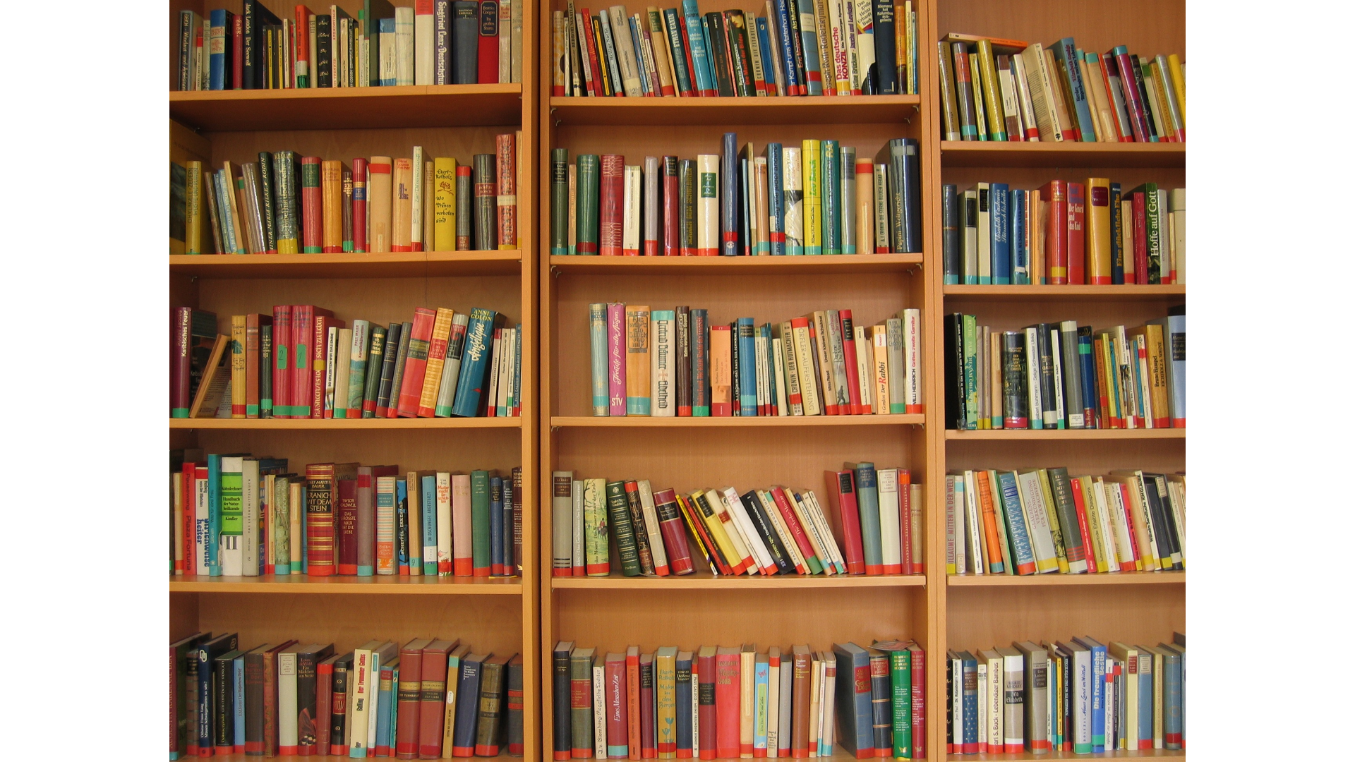 Presentan iniciativa para garantizar libros y materiales complementarios gratuitos a estudiantes con discapacidad libros