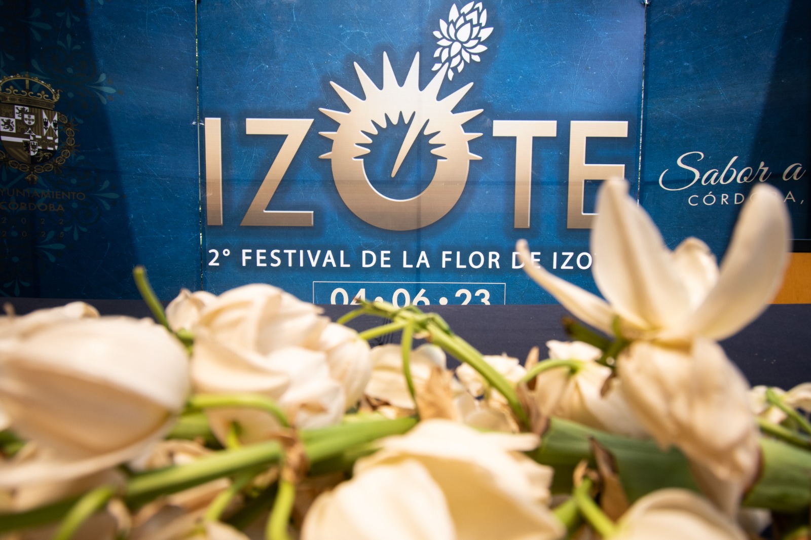 Flor de izote