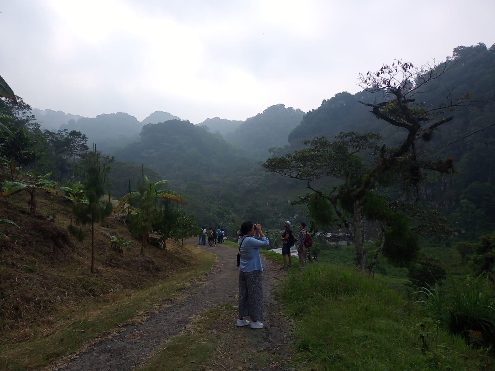 WhatsApp Image 2023-05-14 at 17.04.44