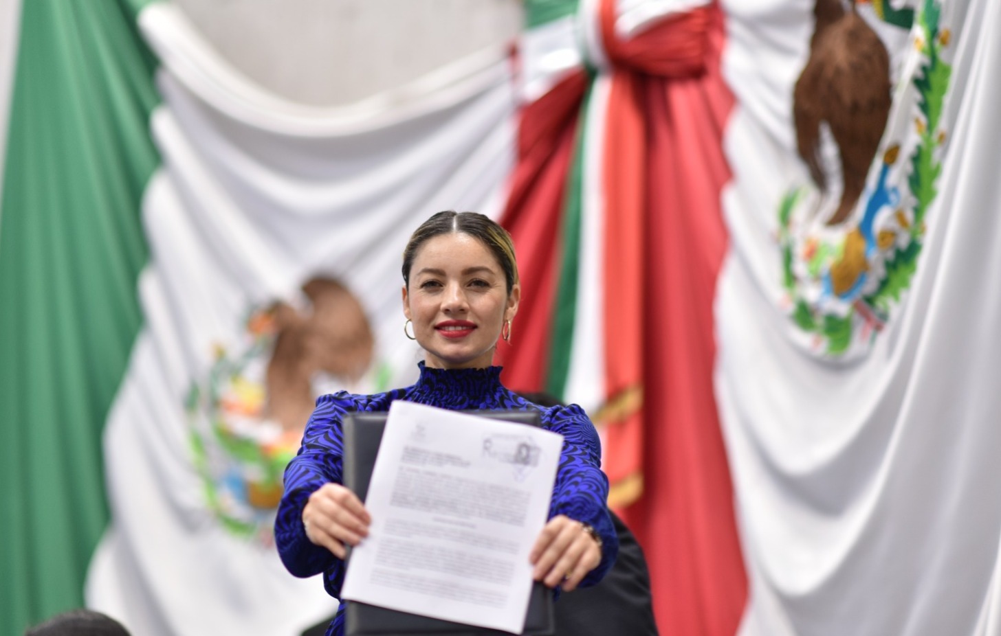 Plantea Diputada atribuciones locales para evitar contaminación visual Maribel Ramírez