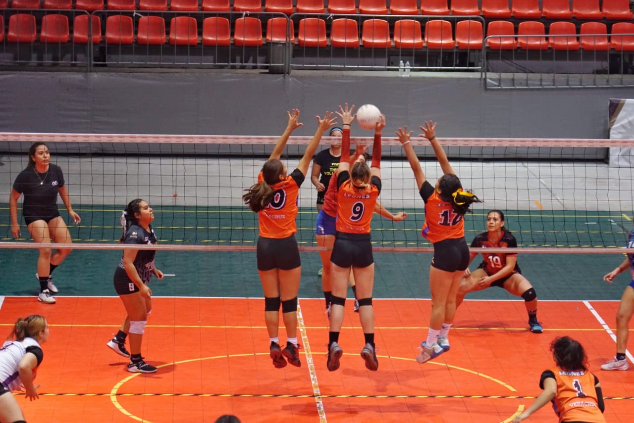 WhatsApp Image 2023-05-27 at 07.26.57