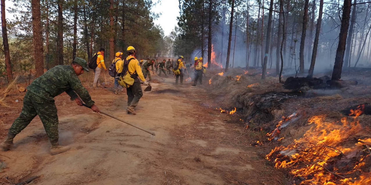 Gobierno de Veracruz prohíbe quemas<br>agropecuarias para evitar incendios forestales incendio