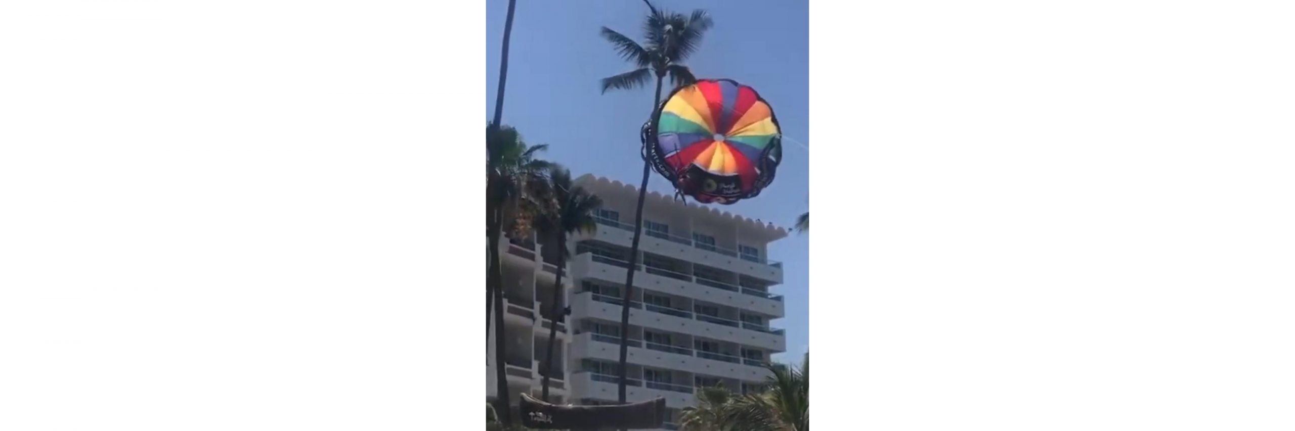 Turista sufre percance en parachute; se queda colgada de una palmera. GridArt_20230603_164321249